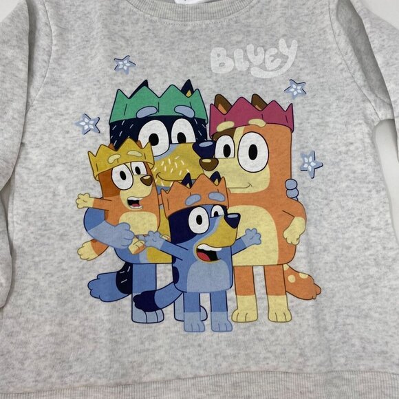Target Toddler Bluey Family Fleece Sweatshirt and Pull-On Pants Set Heather Gray - Picture 6 of 16